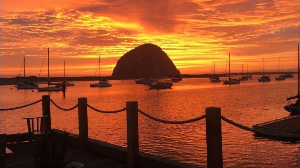 Estero Inn Morro Bay Eksteriør billede